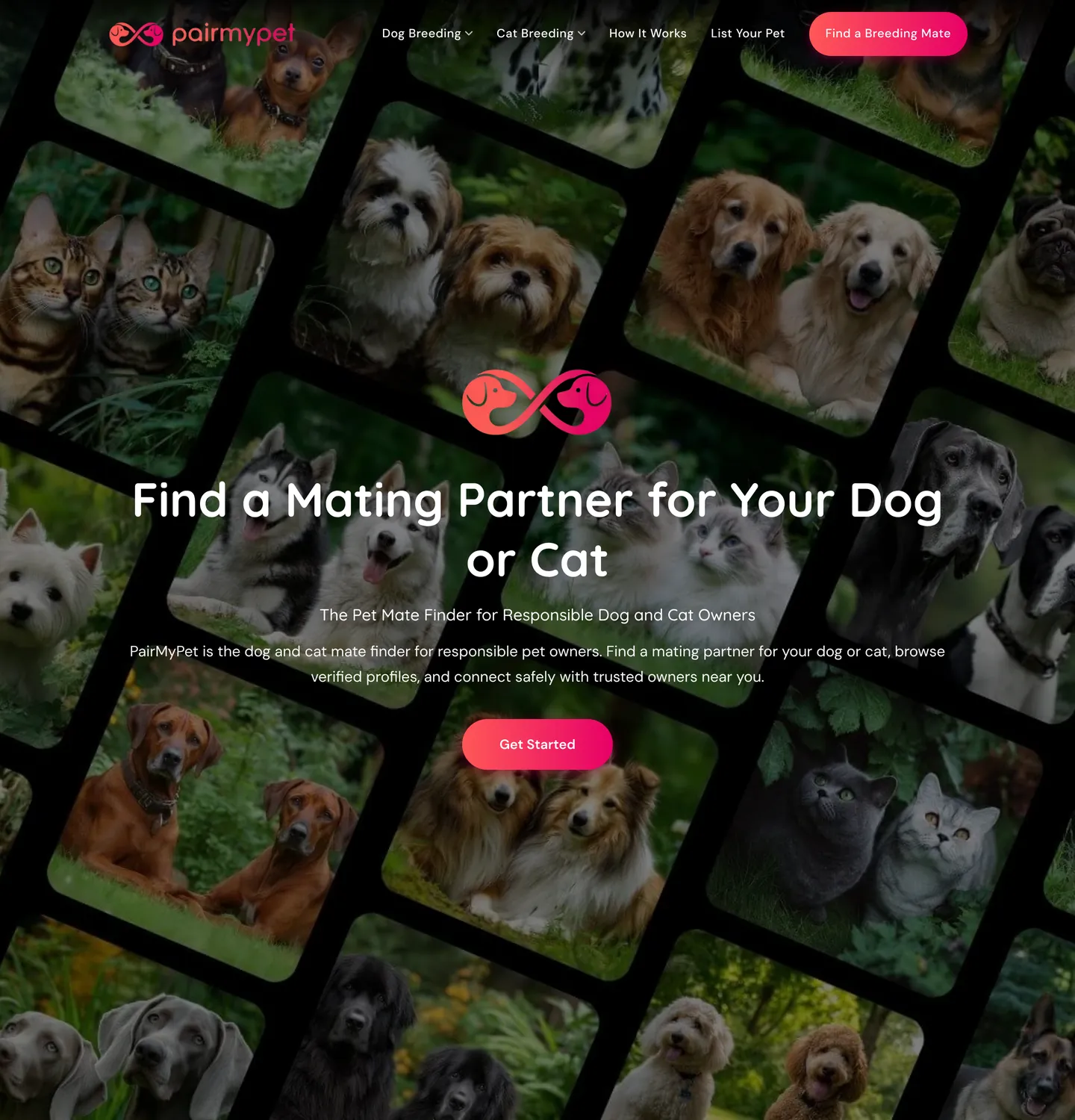 PairMyPet website