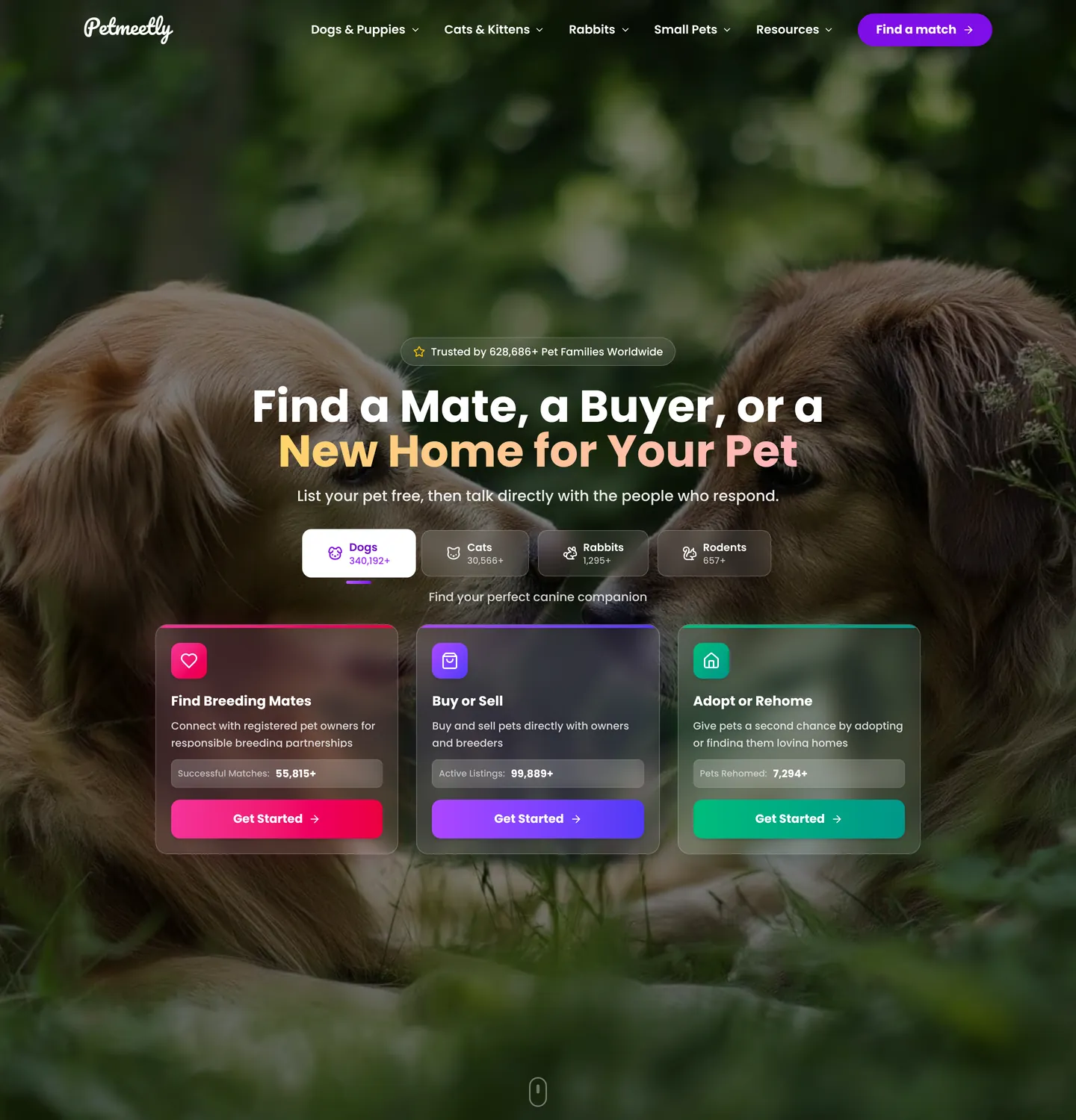 Petmeetly website